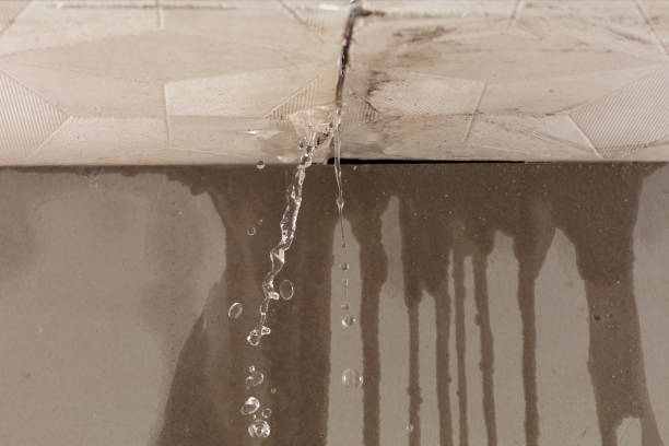 Professional Structural Drying technician working in Rochert, MN